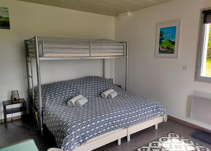 Apartamento Cosy Avec Vue Panoramique Sur Le Cantal